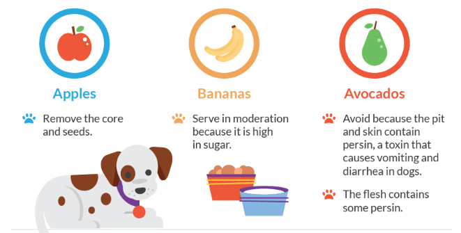 What Foods Are Safe for Your Puppy to Eat?
pupbox.com/training/foods…
#Puppies #dogfood