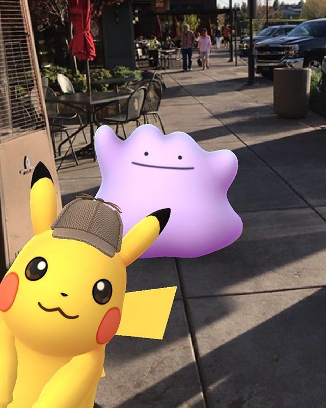 The Trainer Club On Twitter Hows Your Photobomb Coming