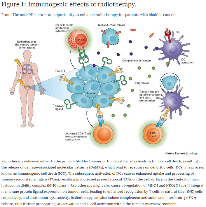 NatRevUrol's tweet photo. Weekend reading: Immune checkpoint inhibitors could help enhance radiotherapy in #BladderCancer. This Perspective explores the scientific basis of combination strategies and clinical implications https://t.co/HSzELHI6tD https://t.co/SE4hIQ1JNI