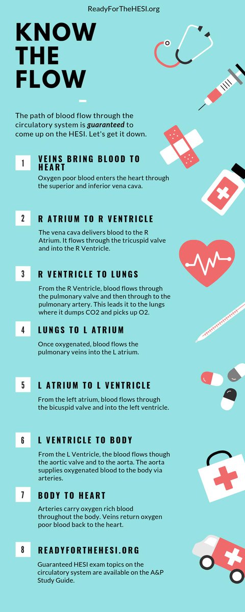 ReadyForTheHESI's tweet photo. Get urself ready to take the #HESI &amp; do it right the first time, bc if not, then you'll waste hundreds of dollars retaking it! #hesitest #hesia2test #hesia2 #hesiexam #hesia2exam #nursingstudent #hesipracticequestions #hesia2practicequestions #hesipracticeexam #hesipracticetest https://t.co/0ilsPns5hg