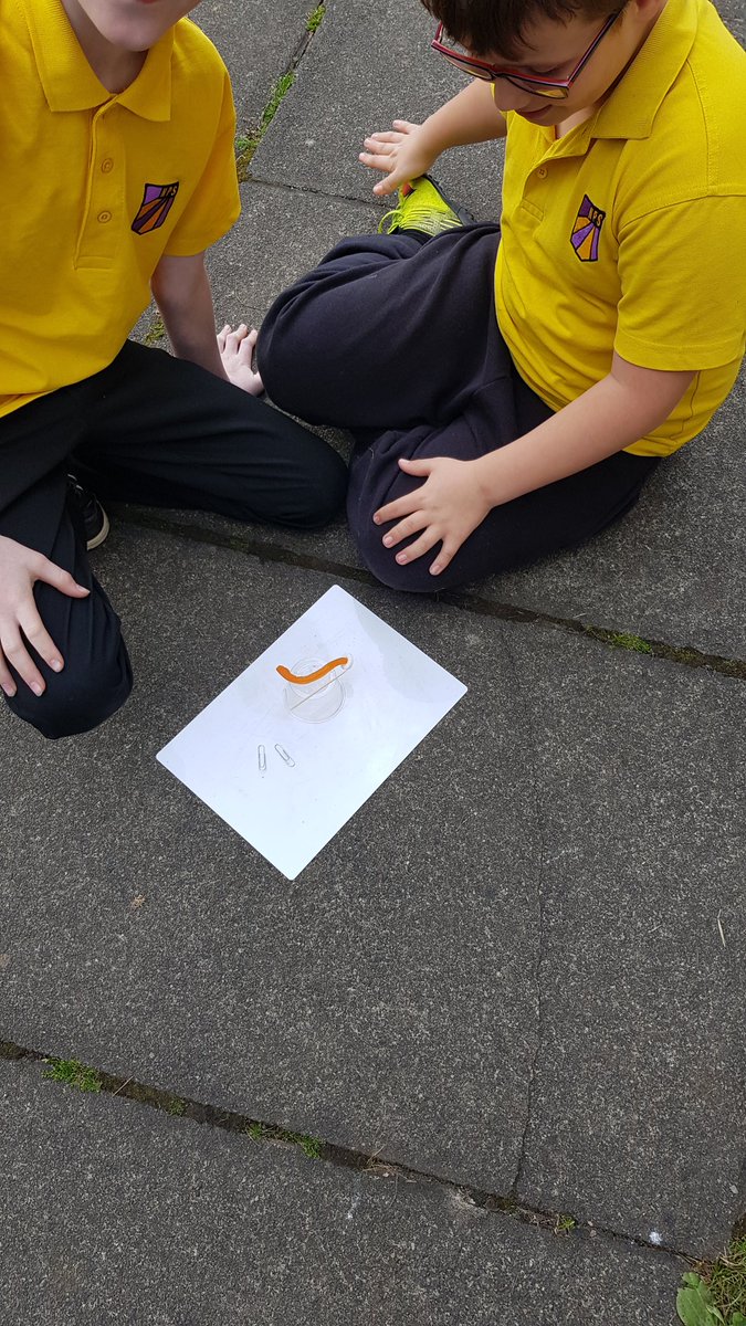 MrsC_NPS's tweet photo. I was so impressed with the team work and different strategies used to save Sam! Well done everyone #wesavedsam #STEMchallenge #teamwork https://t.co/1cHD51bSGe