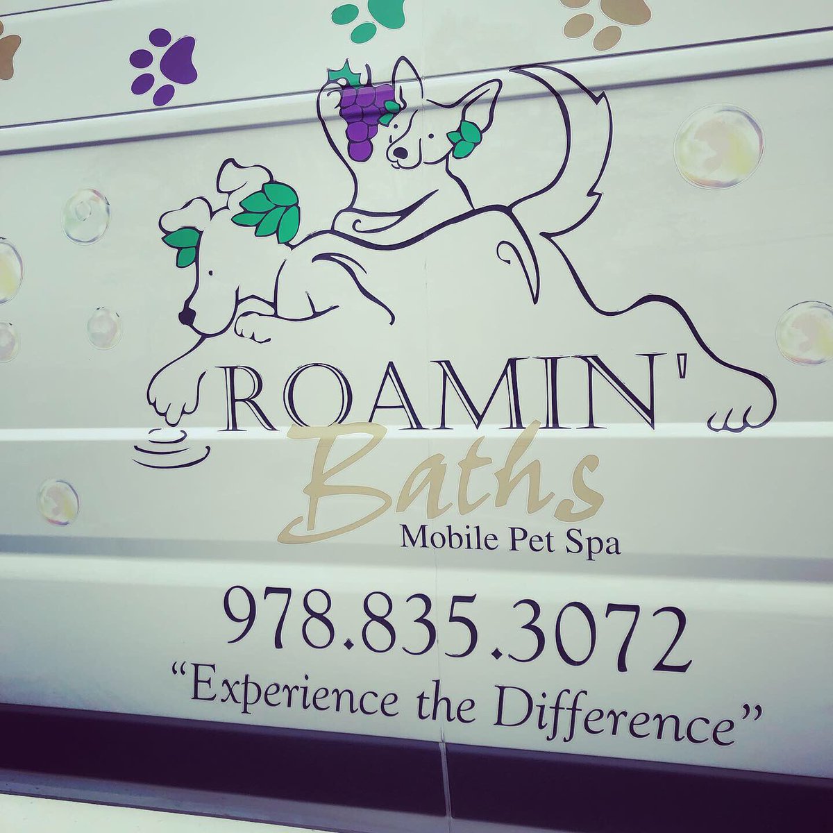 ENSCompanion's tweet photo. Thank you Kathleen from Roamin Baths Mobile Grooming for coming today to speak with our Jrs! https://t.co/f704blwr8e