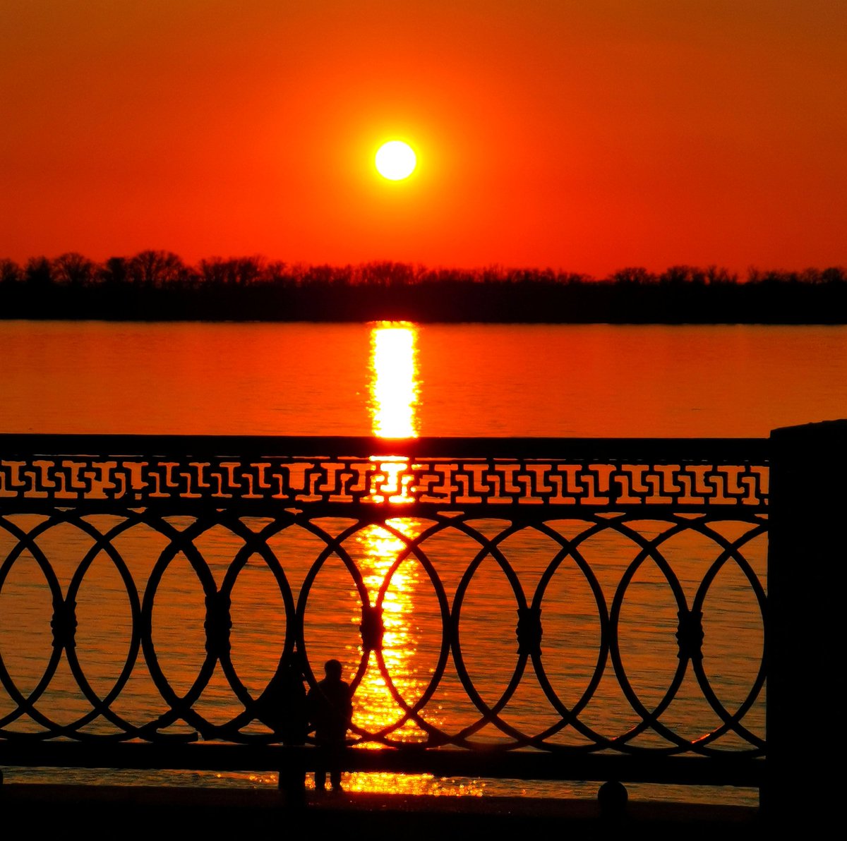 Алексей Башмаков tweet media