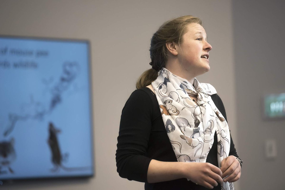 _Rationalizer_'s tweet image. VOTE FOR ME!

I'm in Canada's National 3-minute thesis competition for People's Choice! Voting is open until May 26.

Watch and Vote: cags.ca/three-minute-t…