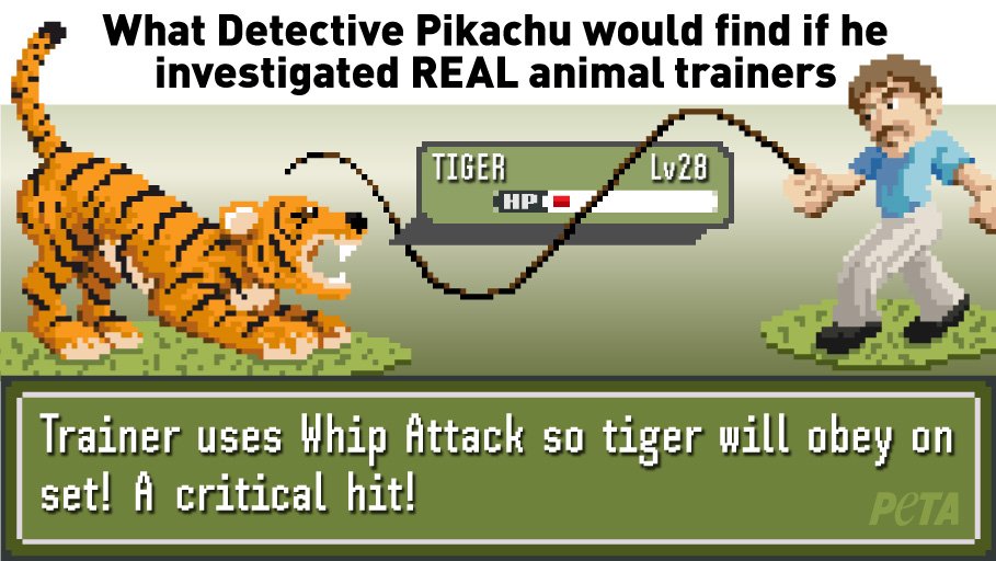 PETA on Twitter: PETA on Twitter: