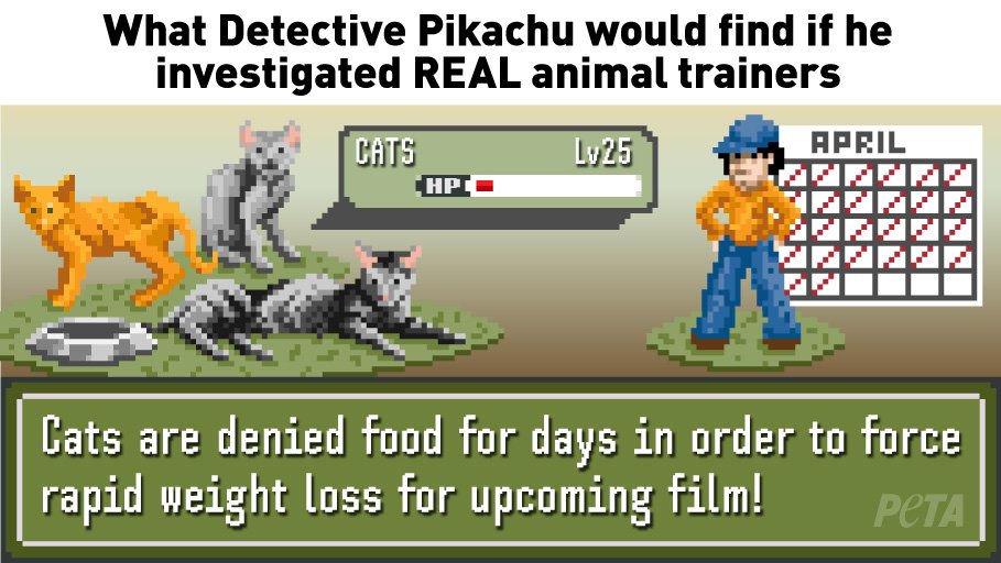 PETA on Twitter: PETA on Twitter: