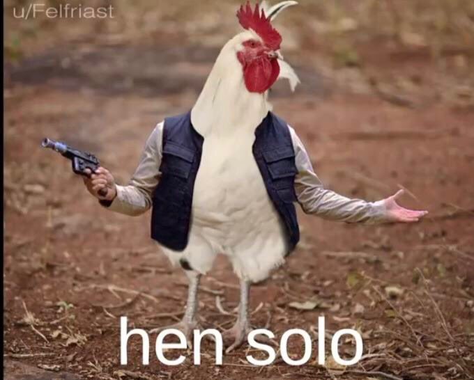 HanSolo_Ghost's tweet photo. new profile pic?
#hensolo
#HanSolo #StarWars https://t.co/YJYiUjJwUx
