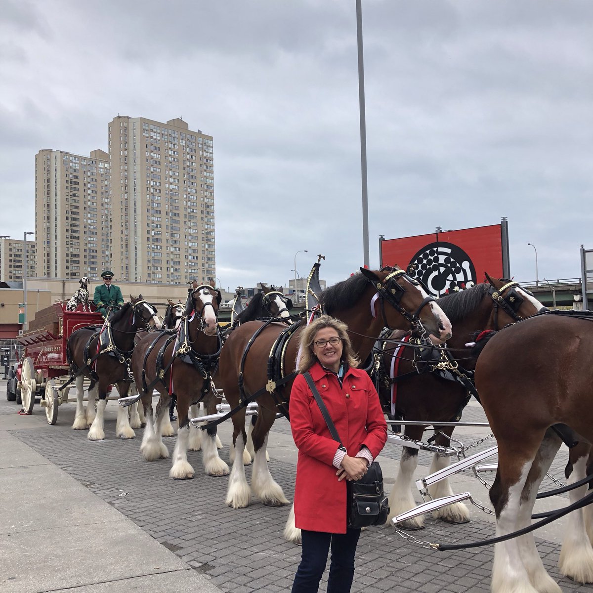antoninastrain's tweet photo. Clydesdales take Toronto #followthehitch 🇨🇦 https://t.co/SoHCr6T2hn