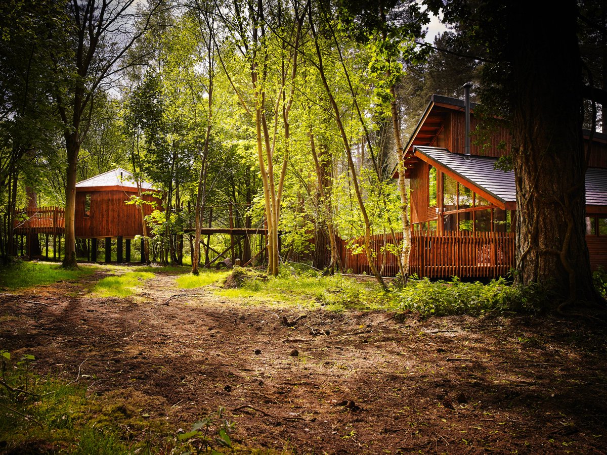 Have you stayed in a Golden Oak Treehouse yet? Take a tour and view our upcoming availability here... bit.ly/forestipedia-m…