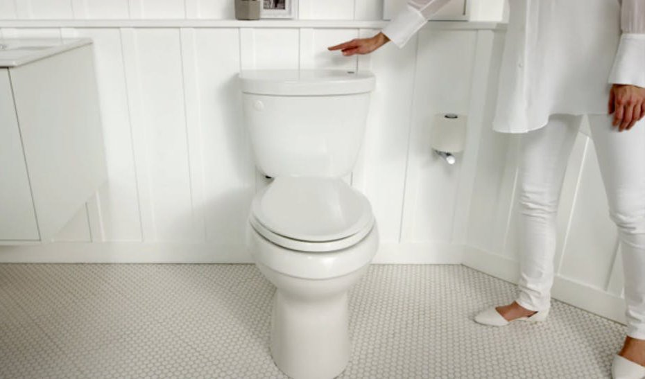 PremierCNJ's tweet photo. Should you close the lid when you flush? Find out why! Check out the link in our bio. https://t.co/9lSZZ2wJ01 https://t.co/DXfbPhvoit