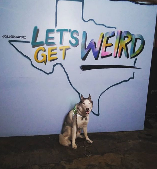 ChugginATX's tweet photo. Coda is ready to get weird this weekend, are you?! #LetsGetWeird https://t.co/p1yW9pTJZC