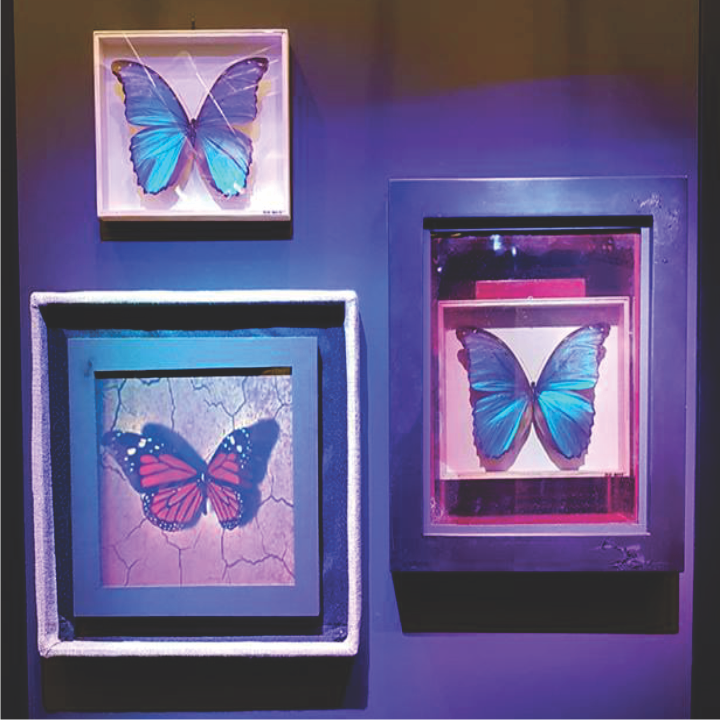 LazerHolograms's tweet photo. @HoloLens of these 3 images, 1 is real, the other 2 are holograms, which is the real image, BTW 84% of folks get it wrong. True full color, full 3d holography https://t.co/wNyWWajjyr