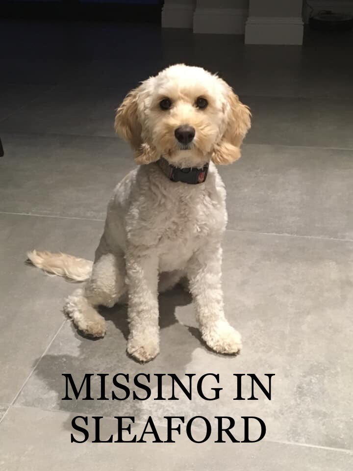 Paul Stafford tweet media