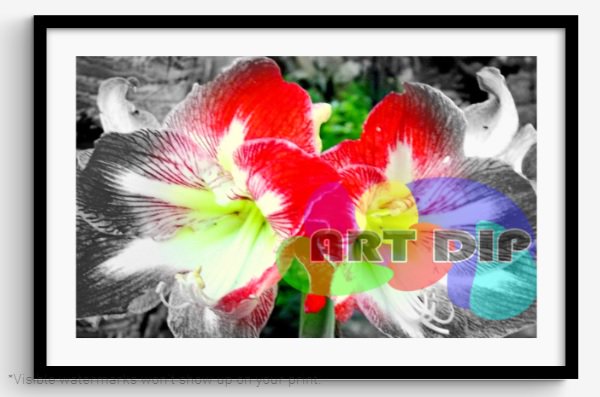 ARTDIP1 tweet picture