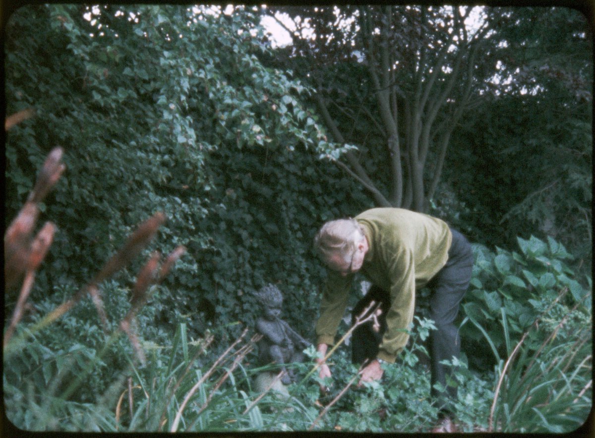 B.F. Skinner Plays Himself tweet media