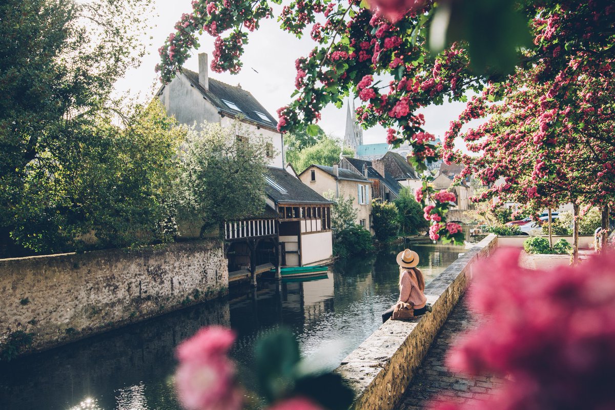 Bestjobers's tweet photo. Chartres entre fleurs &amp; street art, un chouette cocktail ! #UnTourEnFrance @Tourisme28 https://t.co/vFXlGH8Uh8