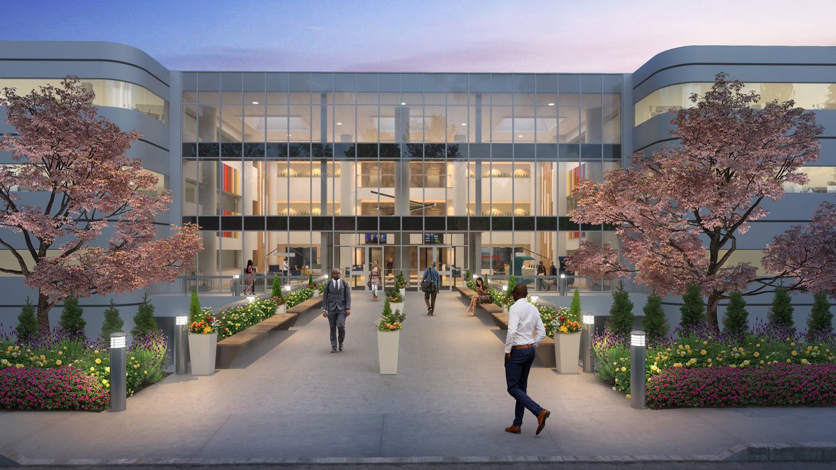 Vision Real Estate tweet media