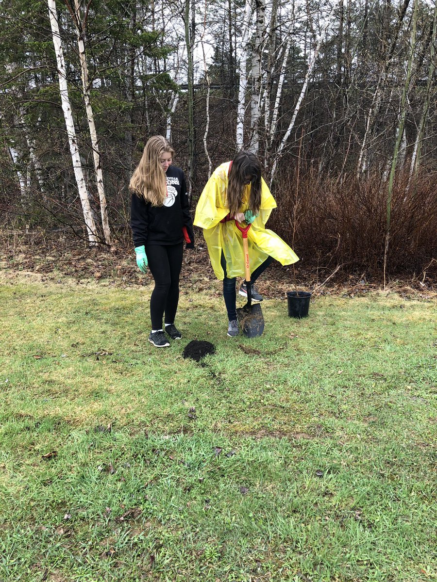 FalconsFMS's tweet photo. Falcons planning for the future- planting butternut trees to help conserve this endangered species! @Meduxnekeag @NRCan @ASDWLimelight #treeplanting #Falconscare #conservation #butternuttrees https://t.co/HXj68ZJp32
