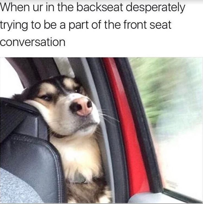 Precision Tune Auto tweet media