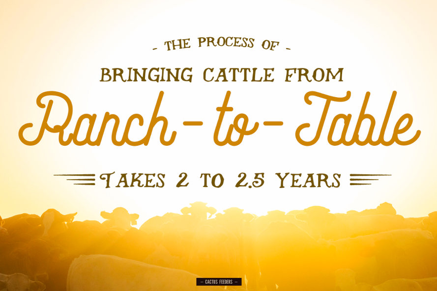 Most cattle start and spend the majority of their lives on pasture. They stay with us in the feedyard, on average, six months before they’re ready for market. #Feedyard #CattleTales