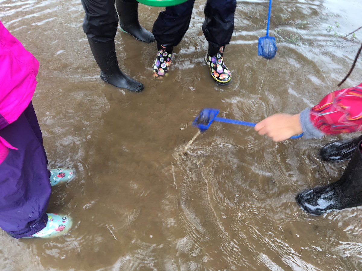 vickys_class's tweet photo. Day 2 of our Forest School at #Merbleu was gloriously rainy and wonderfully fun! https://t.co/I4OvC145ba