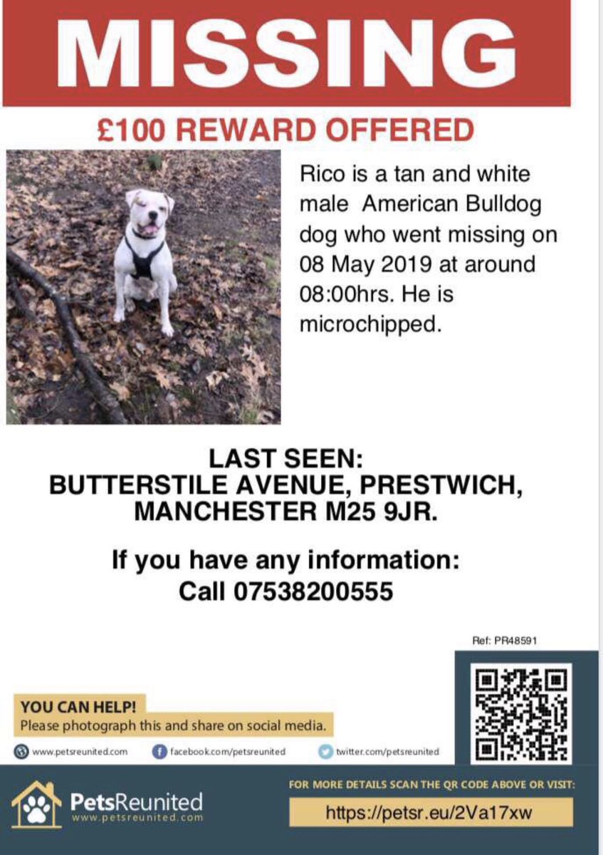 Evening tweeps,
HUGE DOGGIE RT FAVOUR PLEASE.
Rico is a family pet and his owners distraught.
He my sons bestie and they very close.
I would really appreciate any/all RTs as this a valuable dog who may be offered for sale.
Please, Please RT please.