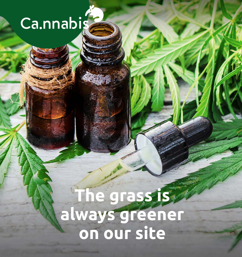 Ca_nnabisCom's tweet photo. There is so much going on in the cannabis industry that sometimes you need a quick break at a lounge. Before heading to there find the best prices for your products on https://t.co/jsP3Bxe0h5!

$PLYZ #CannabisCommunity #CannabisWorld #Dispensaries #GreenSpot #Comparison #retail https://t.co/heLcX7QSGY