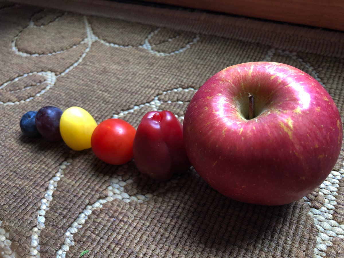 BrookeW_28's tweet photo. #chshomefruit https://t.co/hOnGlCpKmh