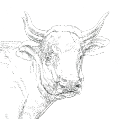 katura_art's tweet photo. Work in progress. #doublecow https://t.co/OZ32zhz2D5