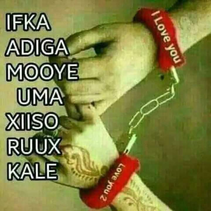 Rokia Mayow Salaad (@mayowrokia) on Twitter photo 