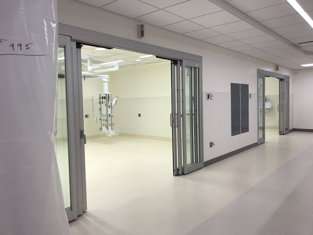 Saron Fanel tweet media