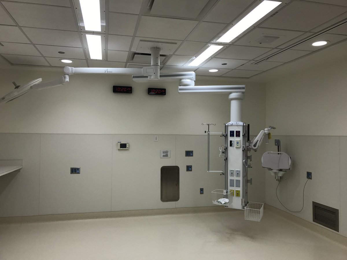 Saron Fanel tweet media