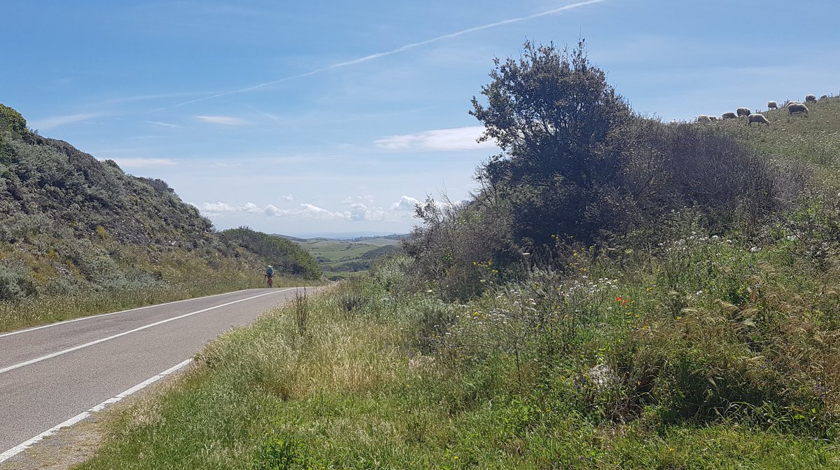 Verena_VIGLi's tweet photo. Last day @SardiniaCycling. It was great! #Sardegna is wonderful! https://t.co/c1T9p6zHBp