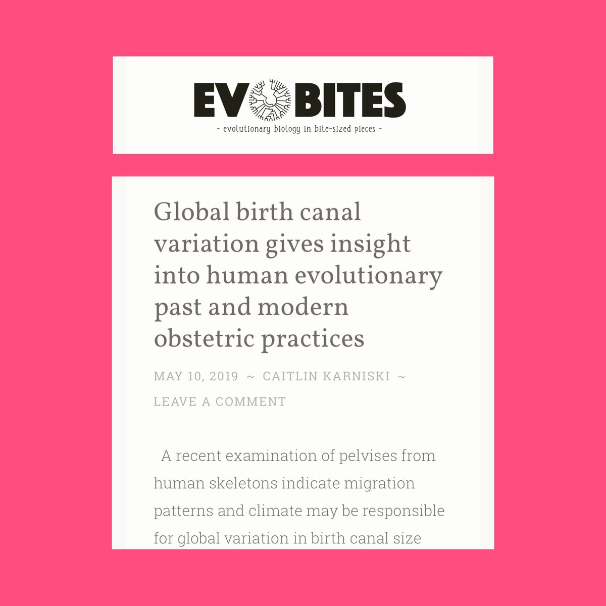 Have a great Mother’s Day Weekend! If you have some down time, check out our new post :)