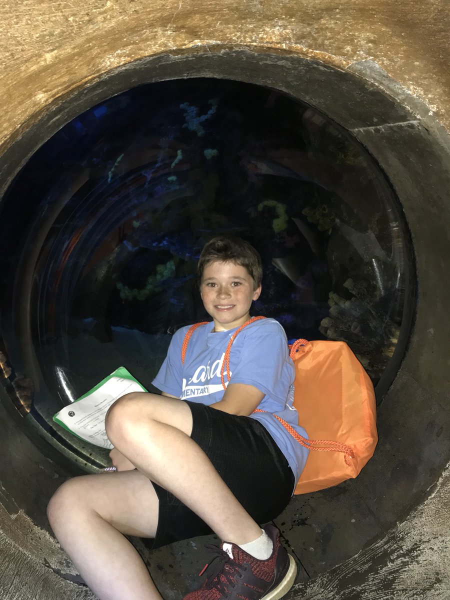RSmithgrade5's tweet photo. TN Aquarium Ocean Journey https://t.co/wo63rTNTEm