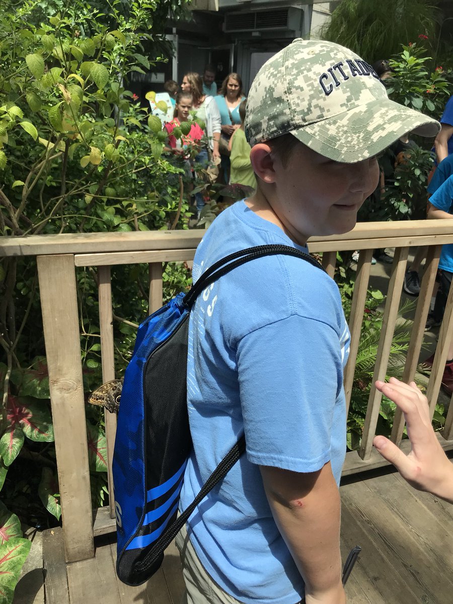 RSmithgrade5's tweet photo. TN Aquarium Ocean Journey https://t.co/wo63rTNTEm