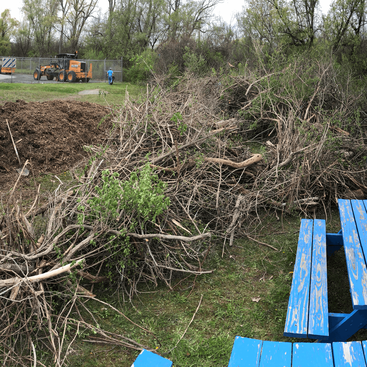 SharpNotions's tweet photo. TY @rocunitedway, for allowing @sharpnotions the opportunity to give back to our community with United Way’s Day of Caring. We were happy to get outside with our friends @lock_32_whitewater mulch and clear brush from their canal path. Great job everyone! 👏🏽 #DearDayofCaring https://t.co/0T7znqVWsf