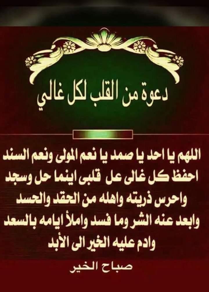 Oriental man (@oriental_1234) on Twitter photo 