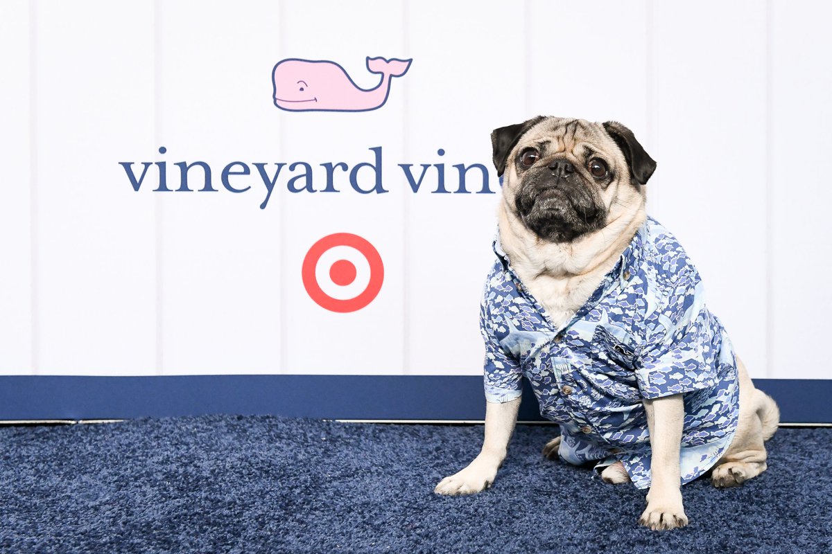Target's tweet photo. Life is better when you're living in a summer state of mind.  #vineyardvinesForTarget arrives May 18th.

Check out our fave moments from our NYC summer pop-up with @itsdougthepug and more! 🐳🎯  https://t.co/mOKyGhB3pA https://t.co/oICaV0tnqa