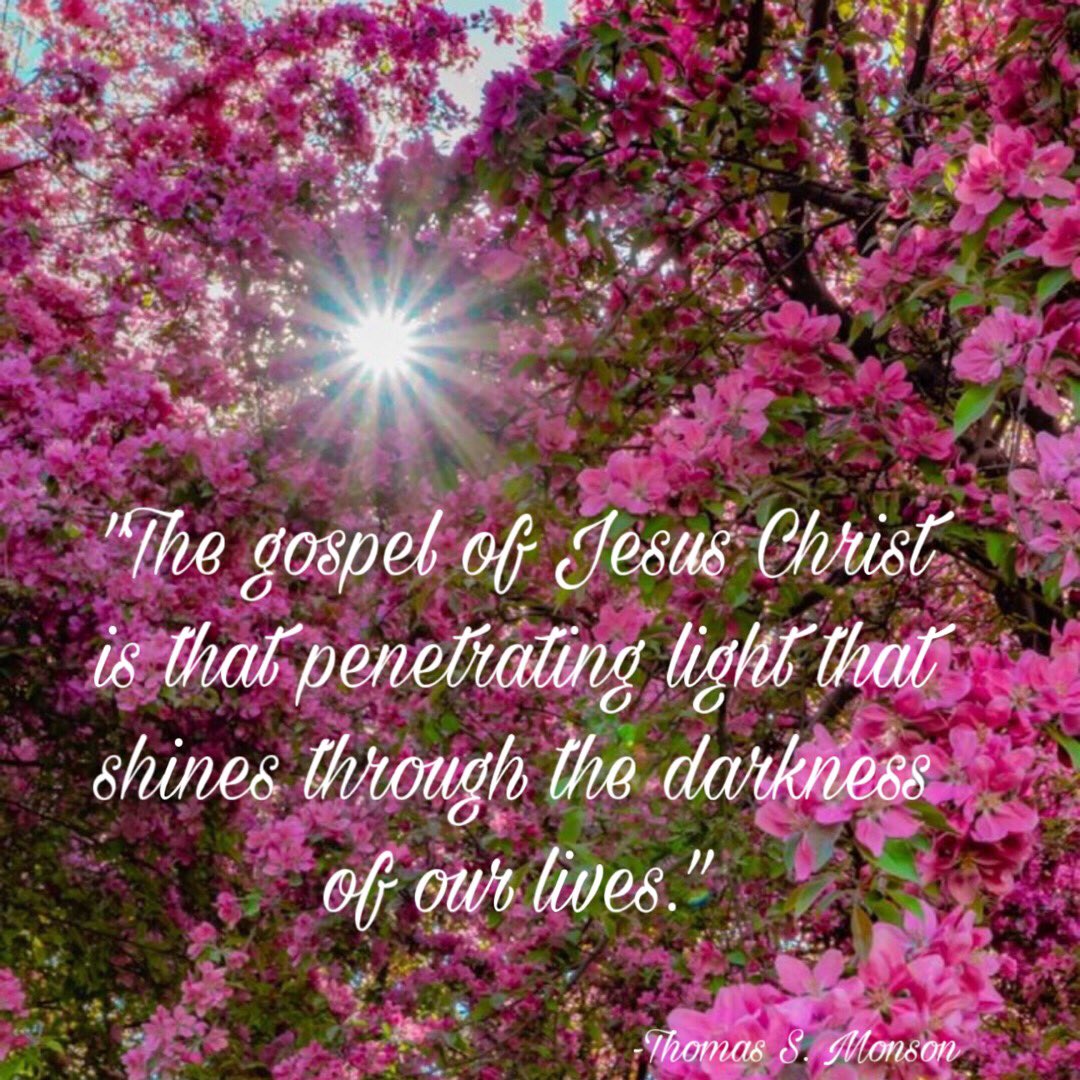 #jesus #jesuschrist #lds #latterdaysaints #thechurchofjesuschristoflatterdaysaints #light #darkness #hope #love #outcasted