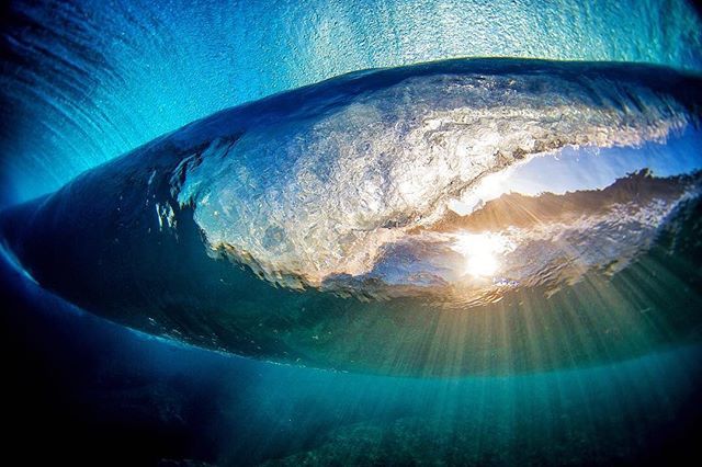 livehayn's tweet photo. Happy Aloha Friday 🤙🏻
⠀⠀
Photo by @Zaknoyle⠀⠀
⠀⠀
#Walklightly #Hayn https://t.co/D5ZwYwELha https://t.co/xED1iU8nuD