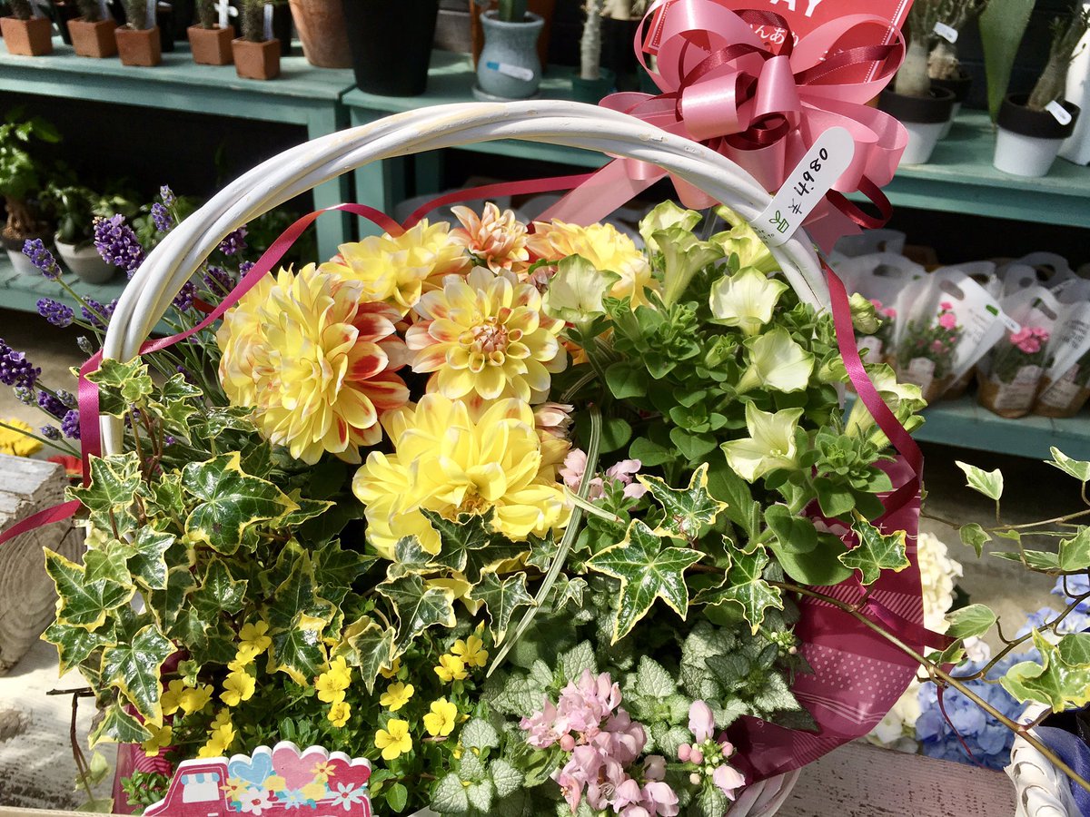 gm_guminoki's tweet photo. 本日、母の日イヴ❣️✨
沢山、心に残るものをご用意しました‼️
めちゃめちゃ素敵になりました！
今日と明日、是非guminokiへ❣️

奥さんやお母さんに感謝の気持ちを‼️😆 https://t.co/JKIR7wQTlo