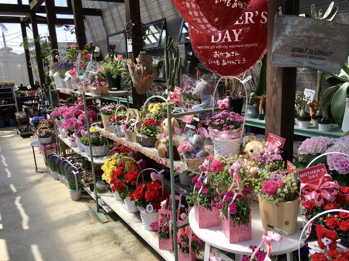 gm_guminoki's tweet photo. 本日、母の日イヴ❣️✨
沢山、心に残るものをご用意しました‼️
めちゃめちゃ素敵になりました！
今日と明日、是非guminokiへ❣️

奥さんやお母さんに感謝の気持ちを‼️😆 https://t.co/JKIR7wQTlo