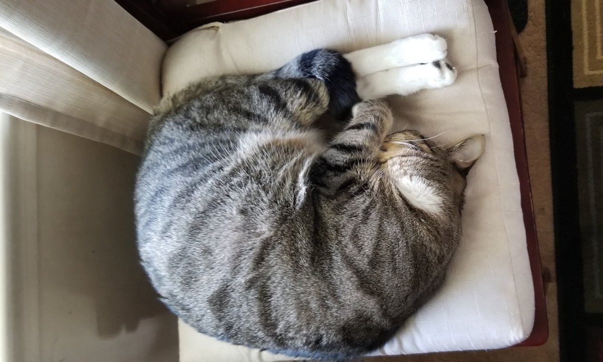 kat_every's tweet photo. #MaybeMomWasRightAbout daytime naps https://t.co/HWTtAKy1Qe