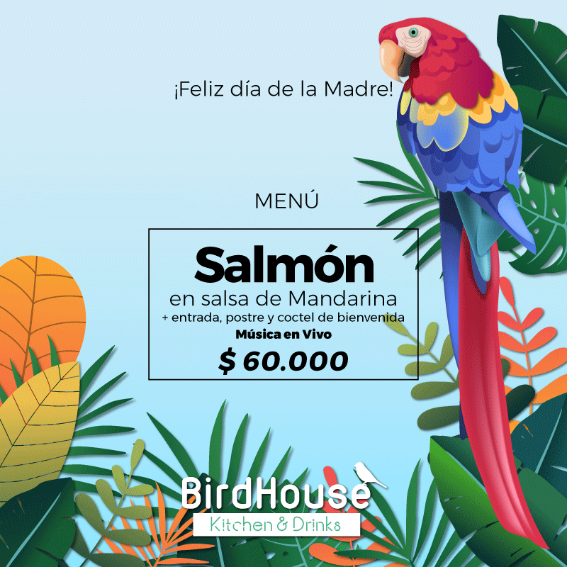birdhousecol's tweet photo. Este Domingo celebraremos el día de la madre con 3 deliciosas opciones de las cuales puedes elegir para Mamá el Salmón. además tendremos un agradable ambiente con música en vivo. 👨‍👩‍👦😍🎸🎸🎸#diadelamadre #mama #quehacerenmedellin #restaurantesmedellin https://t.co/tdl9lK9S9D