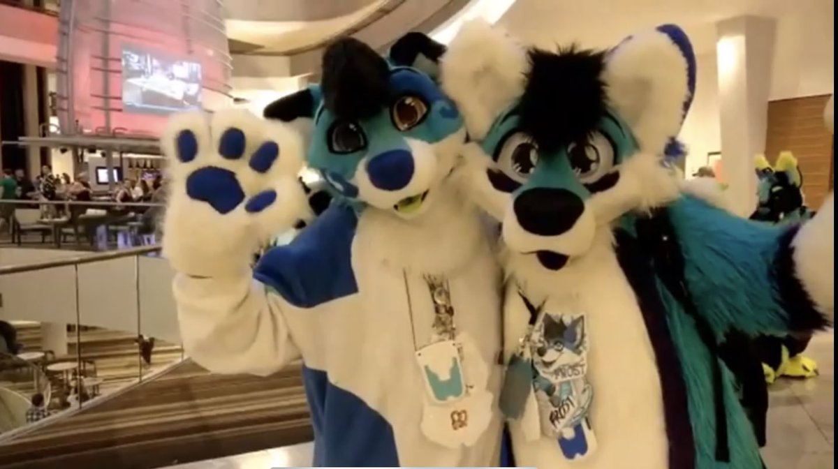 FrostArcticFox's tweet photo. So today I found my totally long lost brother who isnโt Texan and heโs still the CUTEST BLUE FOLF EVER
@StormiFolf
#FurFestFriday #FursuitFriday #StormiIsStillAdorable https://t.co/LEvlSHKVag