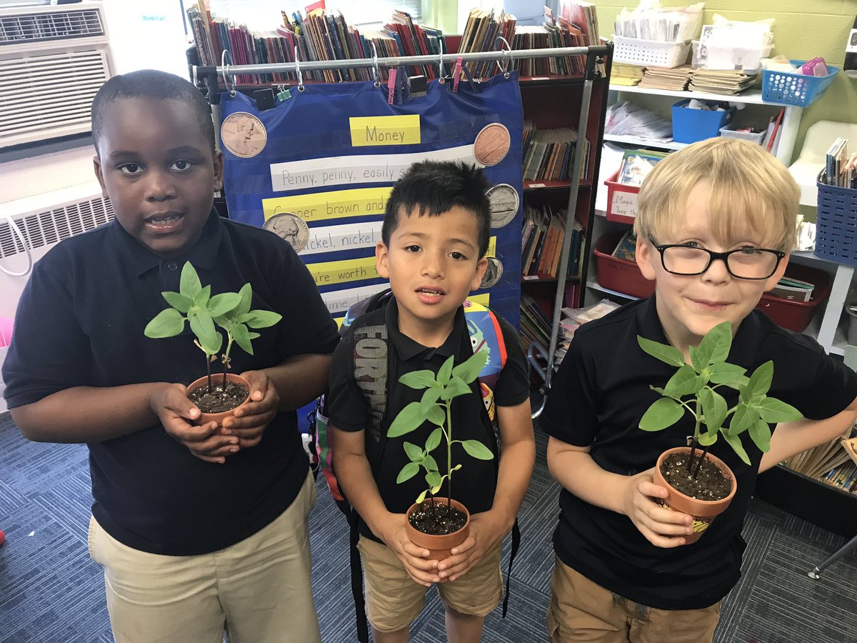 Happy Mother’s Day! #PlantsSeeds #Habitatstudy #Collaborating <a href="/AmpNwes/">AMP NWES</a> <a href="/michelle728s/">Michelle Shaw</a> #rocksandsoil <a href="/CCCTeach/">Cheryl Crane</a> <a href="/RM20NWES/">KTTheAP</a> <a href="/LisaMar08634095/">Lisa Marshall</a> <a href="/GailPylant/">Dr. Gail Pylant</a>