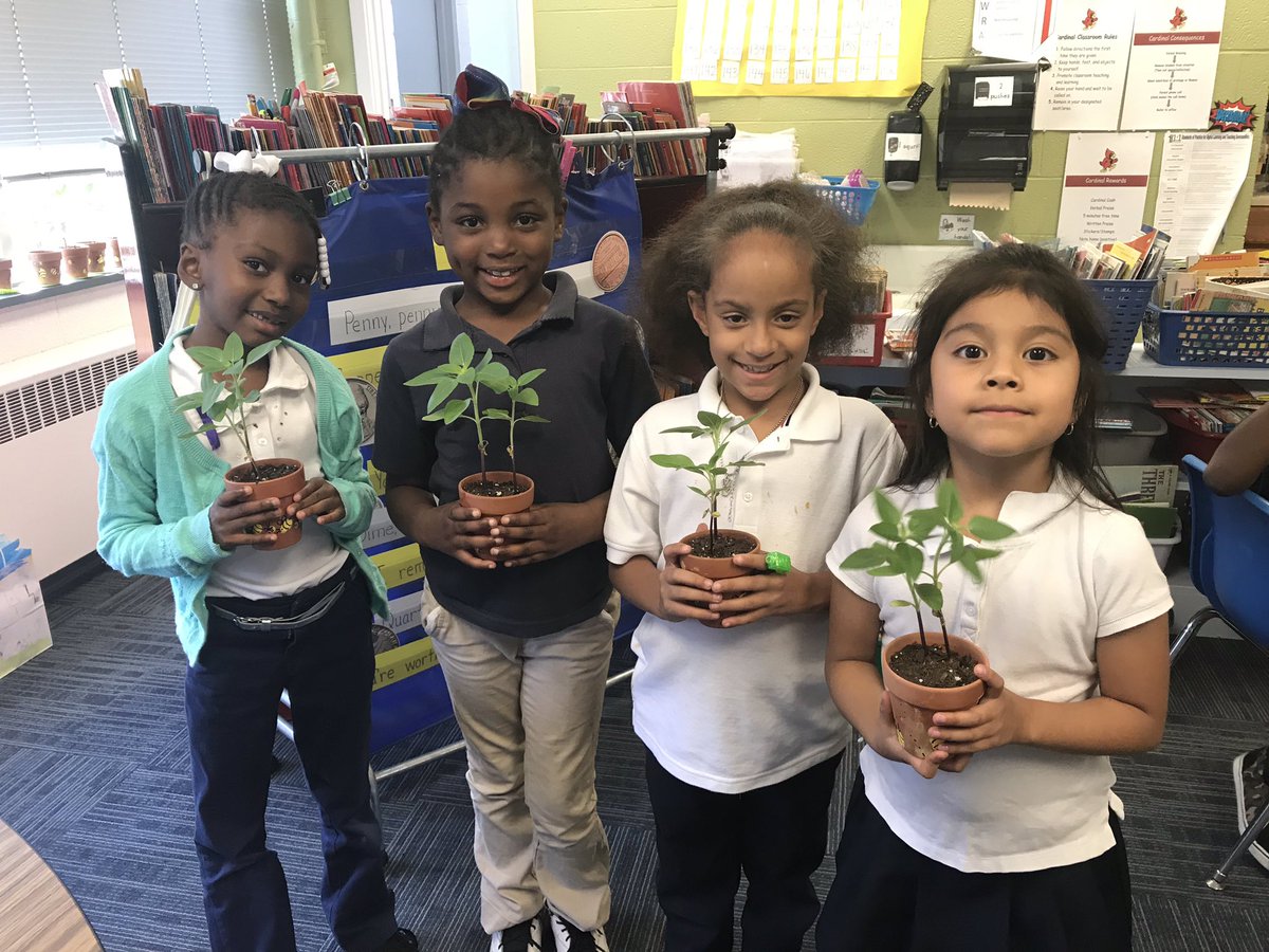 Happy Mother’s Day! #PlantsSeeds #Habitatstudy #Collaborating <a href="/AmpNwes/">AMP NWES</a> <a href="/michelle728s/">Michelle Shaw</a> #rocksandsoil <a href="/CCCTeach/">Cheryl Crane</a> <a href="/RM20NWES/">KTTheAP</a> <a href="/LisaMar08634095/">Lisa Marshall</a> <a href="/GailPylant/">Dr. Gail Pylant</a> #OCSFrameworkFriday