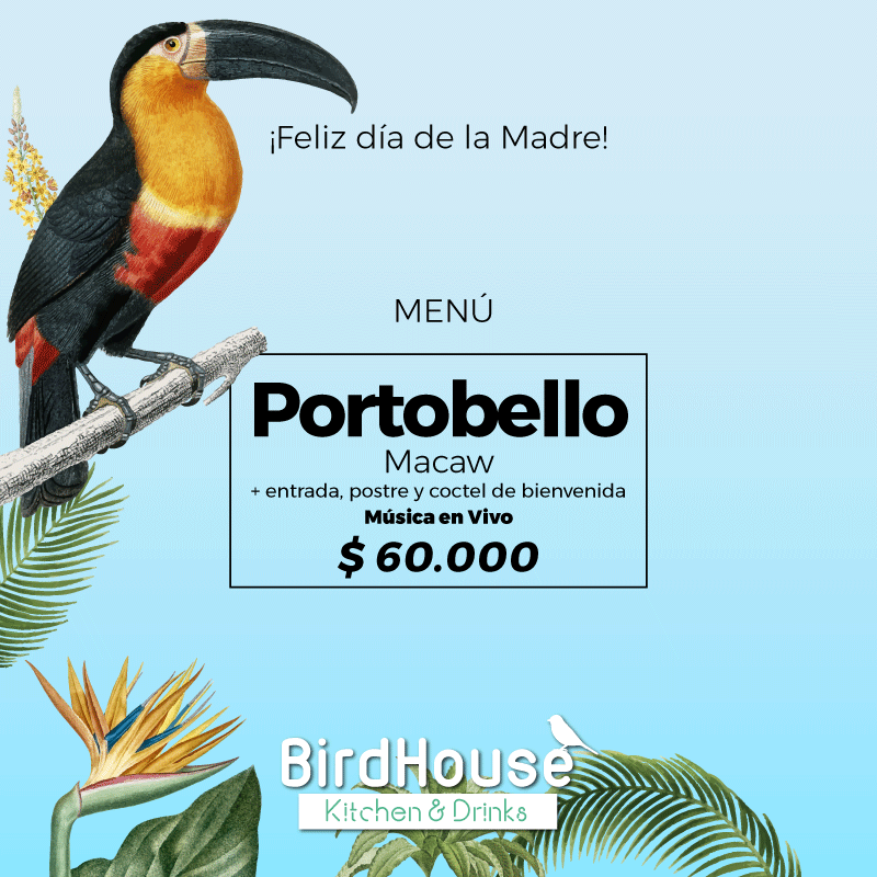 birdhousecol's tweet photo. Este domingo que no es uno cualquiera por tendremos unaopción vegetariana para Mamá llamada Portobello Macaw en honor a esta hermosa ave.  ¡Te esperamos! 👨‍👩‍👦😍🎸🎸🎸#diadelamadre #mama #quehacerenmedellin #restaurantesmedellin #medellingourmet https://t.co/Z0ZF5nwzBr