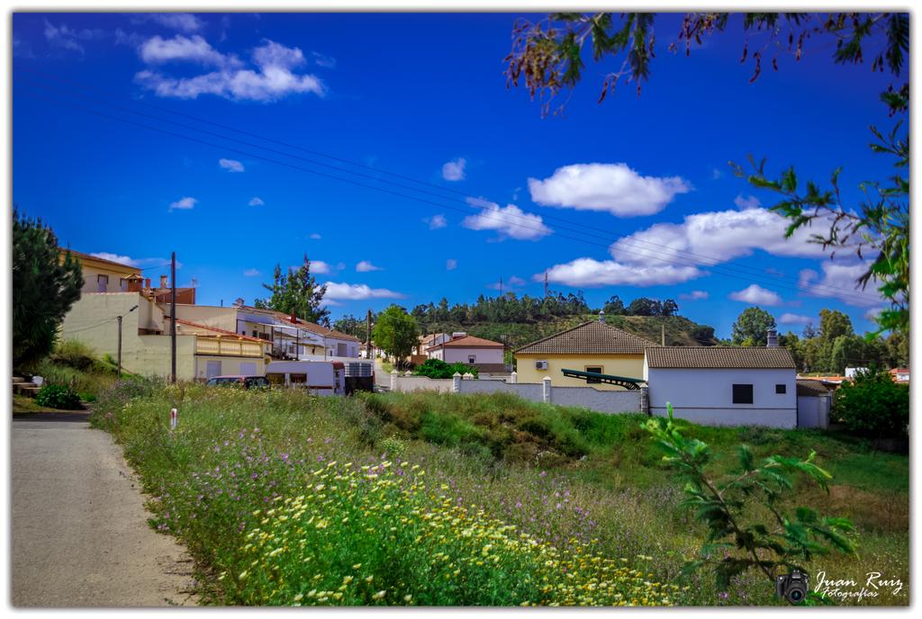 Cuando sales a la calle y ves esta luz, no hay cámara que se resista. La Zarza (Huelva), <a href="/huelvaturismo/">huelvaturismo</a> <a href="/bibliotecaUHU/">Biblioteca UHU</a> <a href="/ACieloAbierto_/">Patricia Chapela</a>